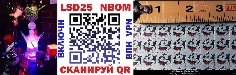 Купить где  Нолинск  Марки NBOMe 1,5мг 